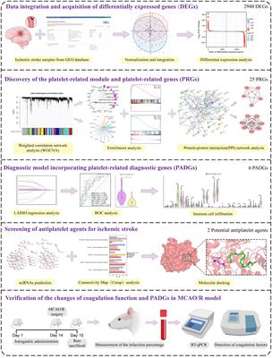 Identification and validation of platelet-related diagnostic markers and potential drug screening in ischemic stroke by integrating comprehensive bioinformatics analysis and machine learning